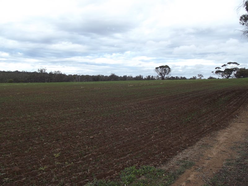 $4400 per acre 9