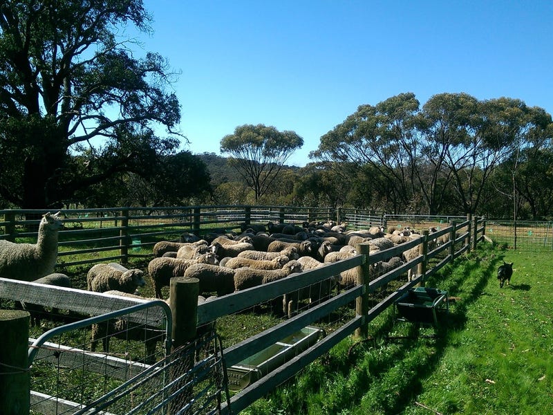 $4400 per acre 11