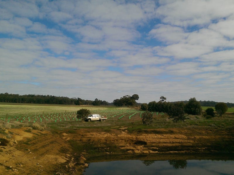 $4400 per acre 13