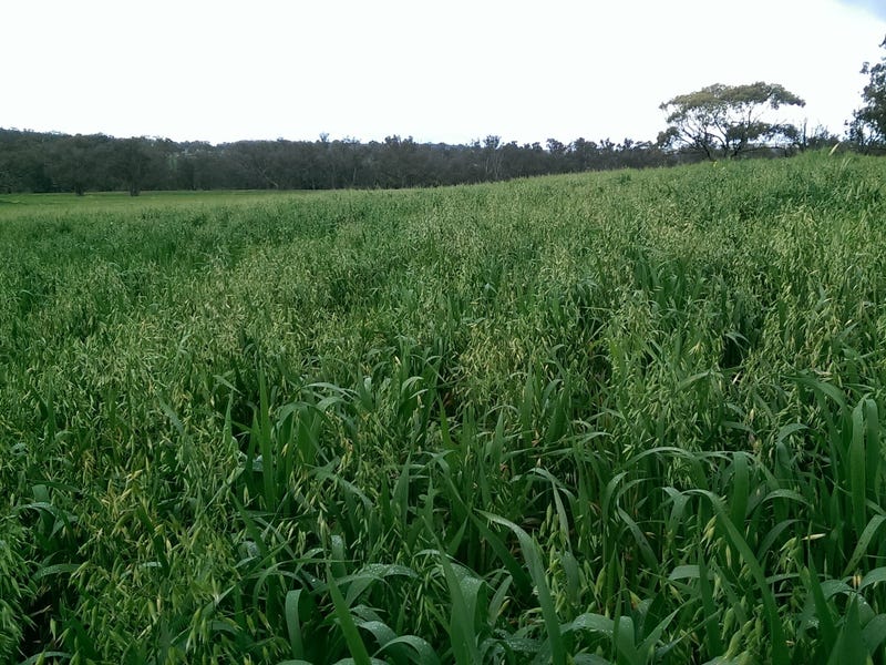 $4400 per acre 19