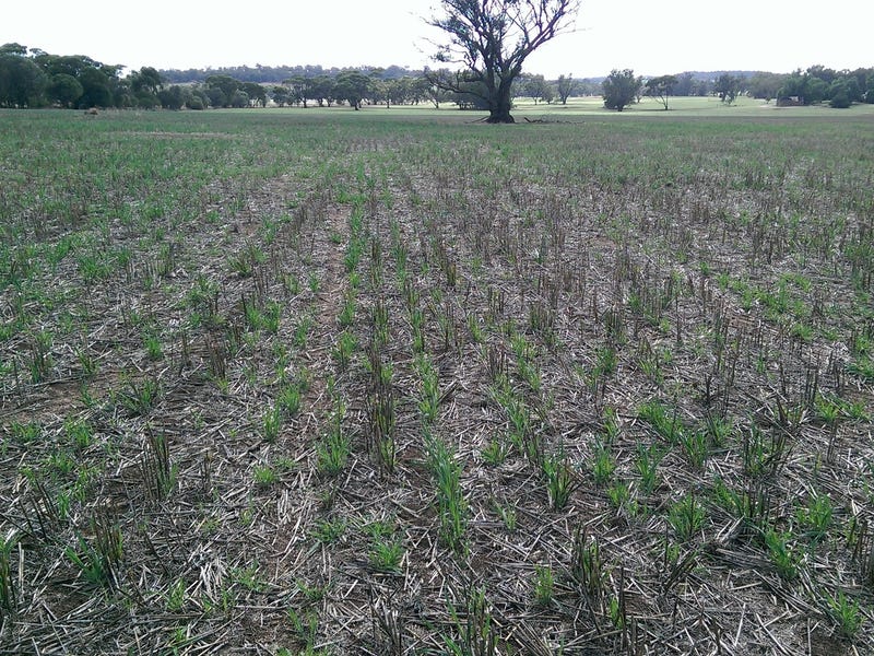 $4400 per acre 21