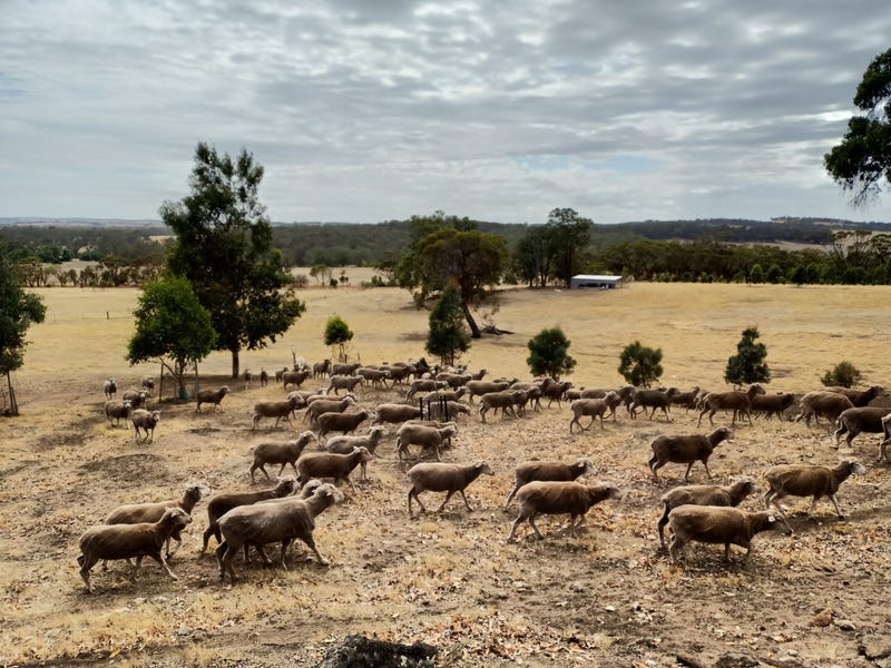 $4400 per acre 24