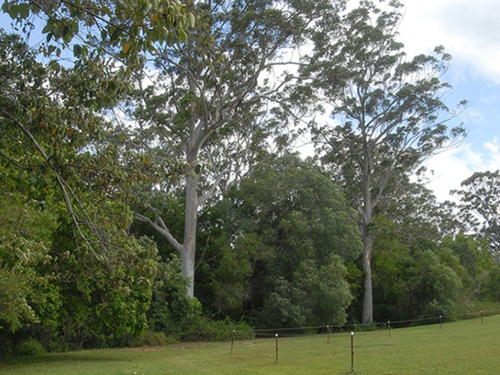 Chevallan Camping & Archery 18