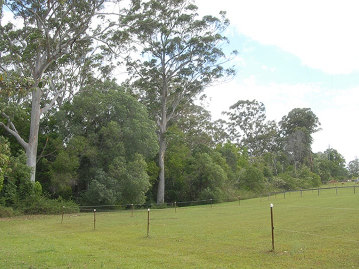 Chevallan Camping & Archery 19