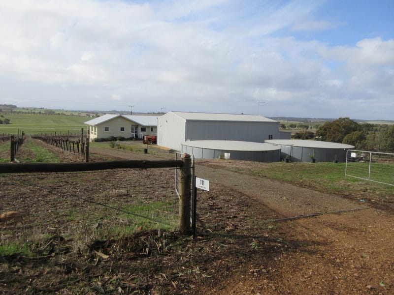 LOCATION-INCOME-OPPORTUNITY 4