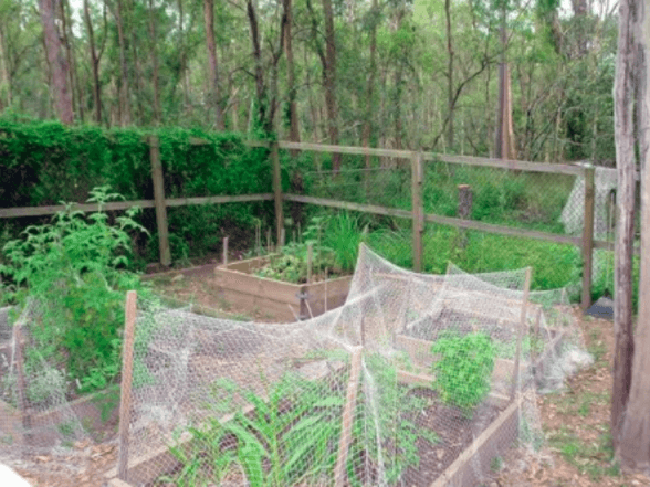 Rare Brisbane Acreage Property – 10