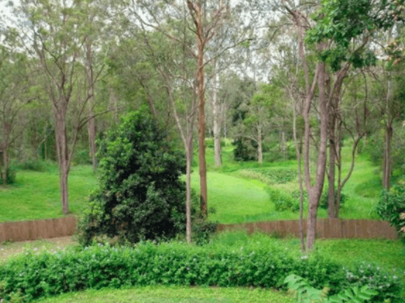 Rare Brisbane Acreage Property – 11