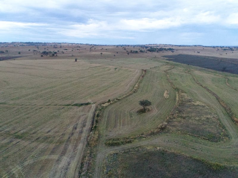Cropping and Grazing 3