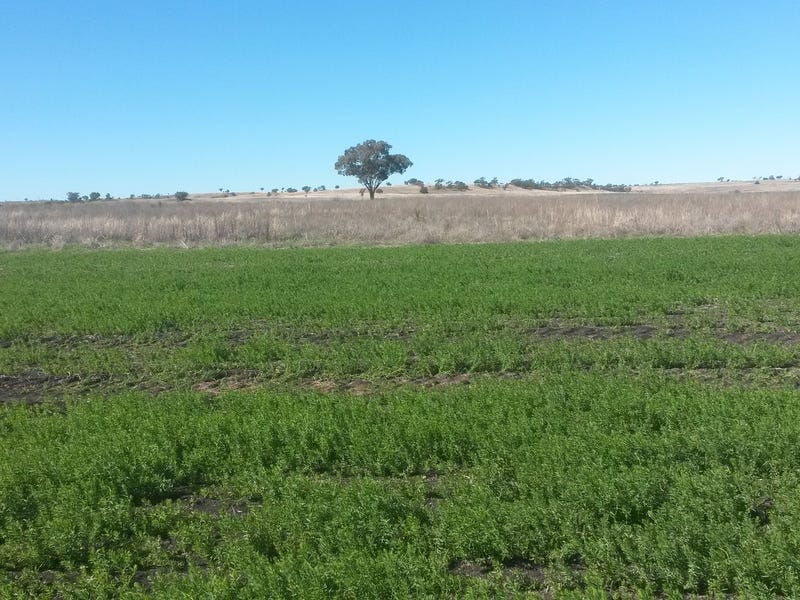 Cropping and Grazing 5