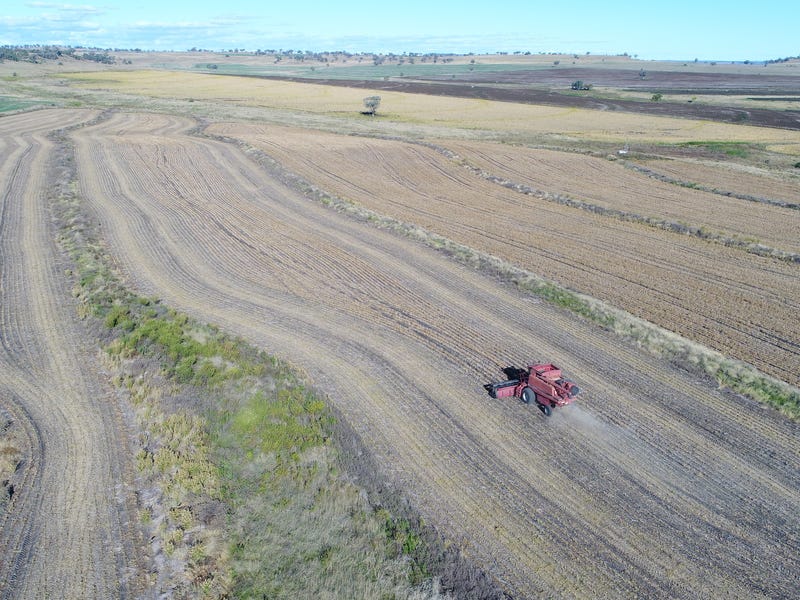 Cropping and Grazing 8