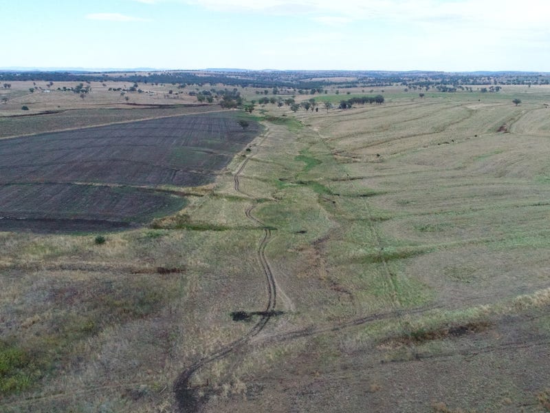 Cropping and Grazing 9