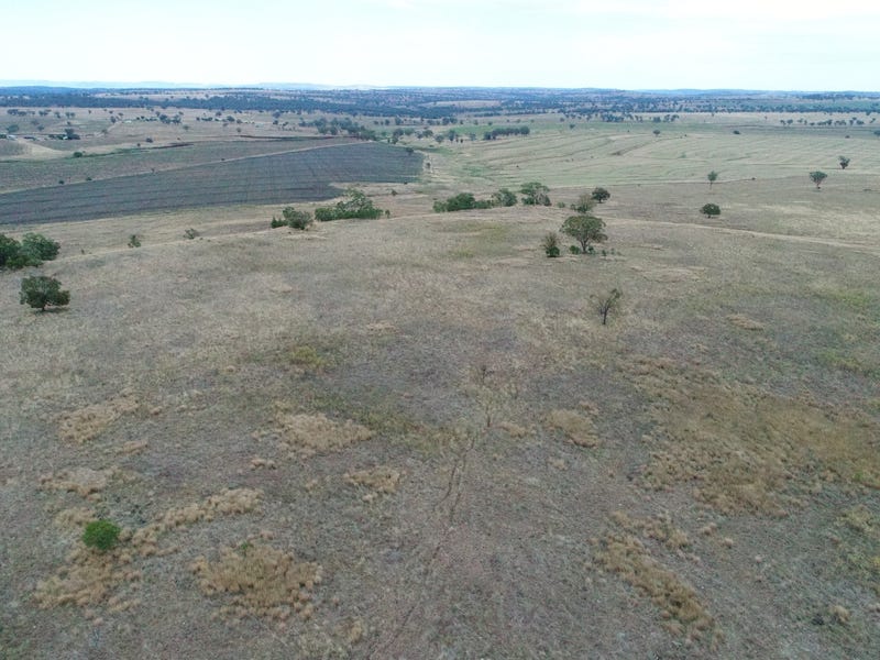 Cropping and Grazing 10