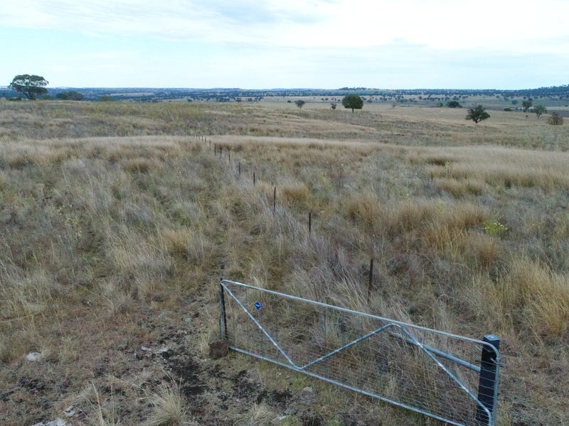 Cropping and Grazing 14