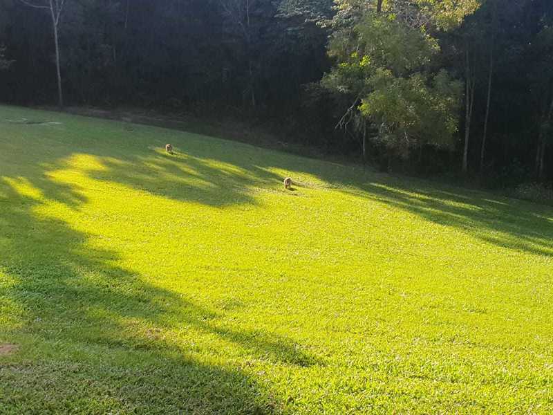 Rare Acreage in Russett Park 8