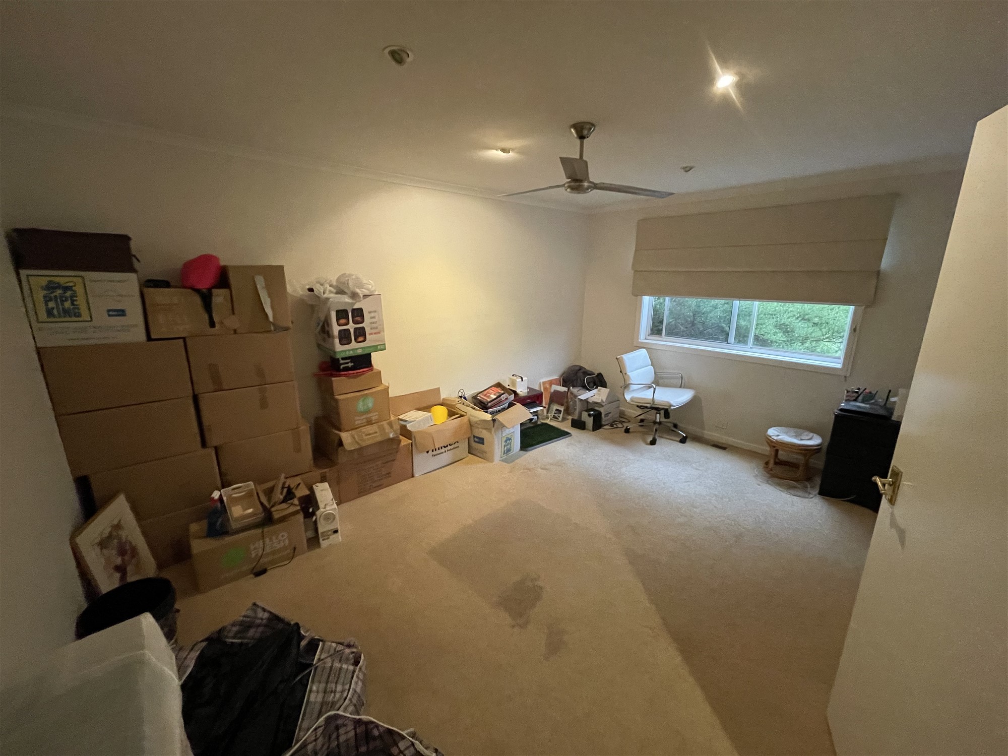 Convenient 3 Bedroom Gem with 19