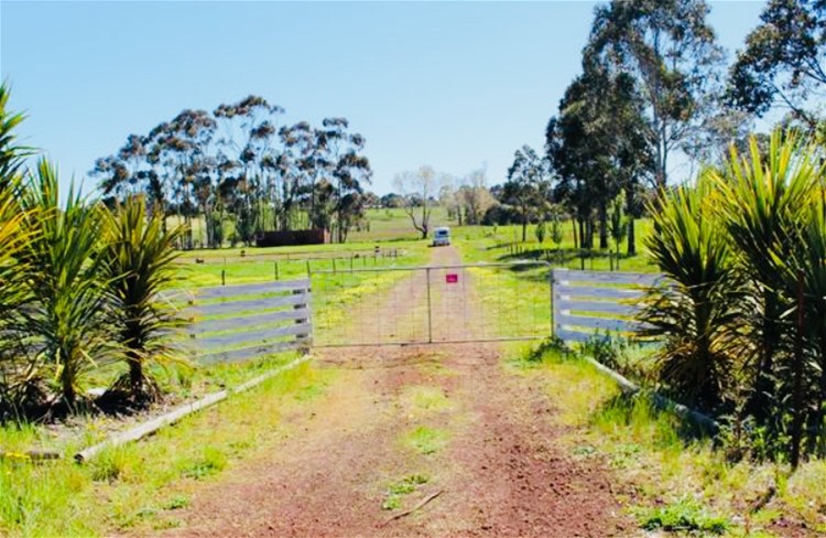 9 Acres land with Services – Hamilton