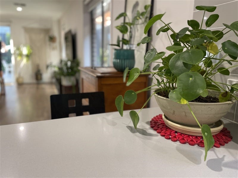 Ideal Park frontage location, overlooking 7