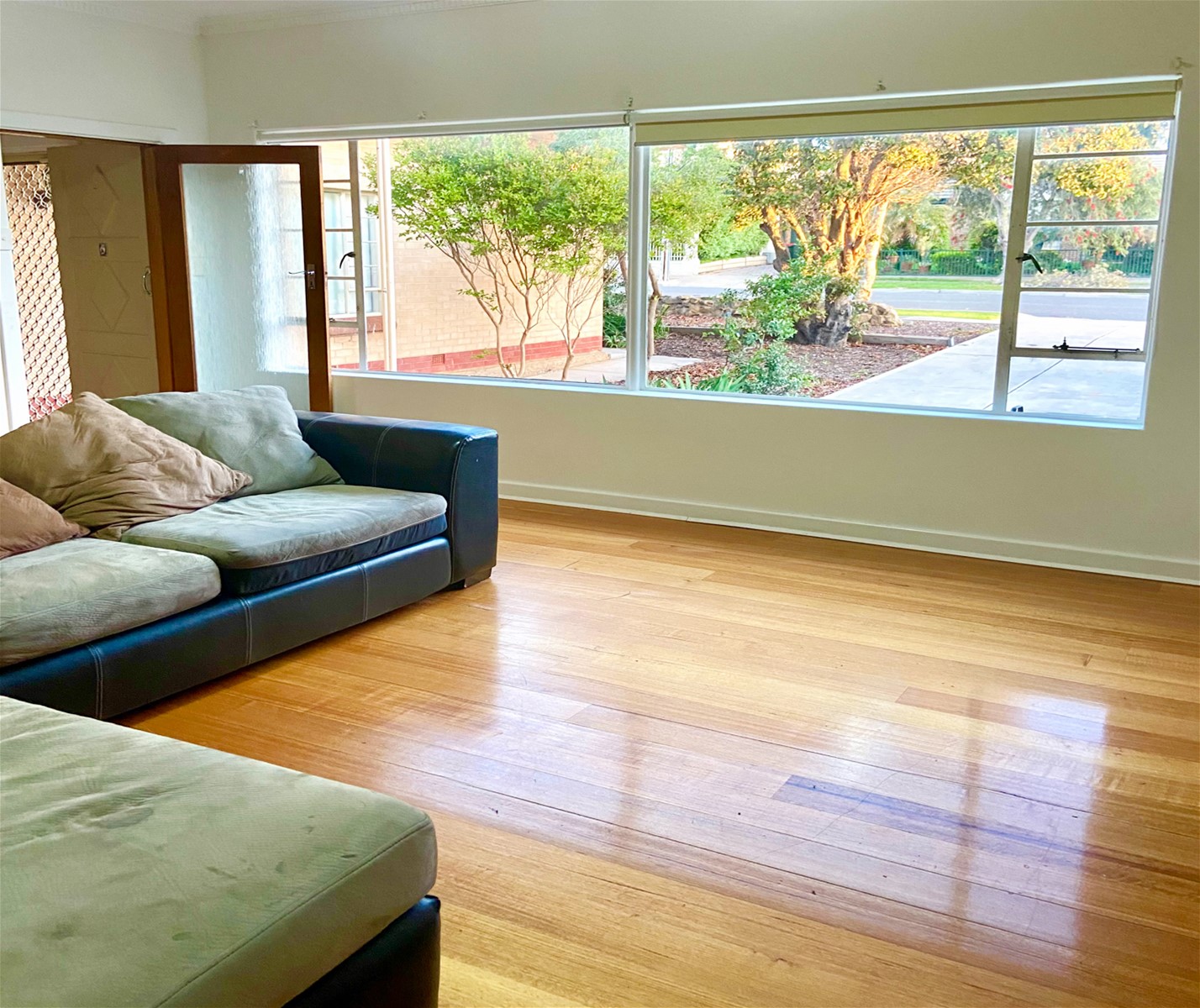 Spacious renovated home in Seacliff 3
