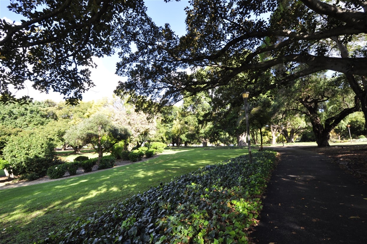 Mt LAWLEY   	2 16