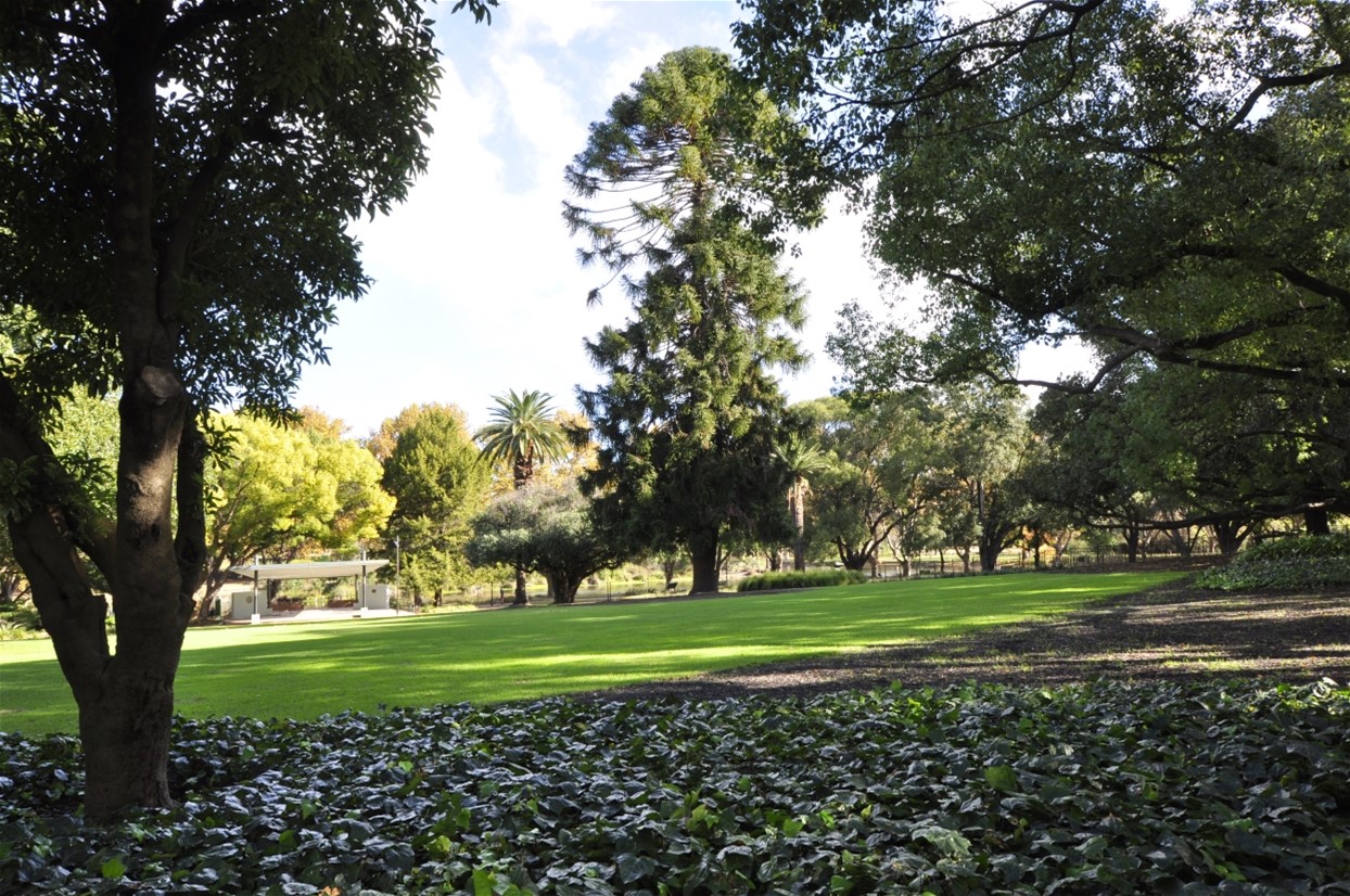 Mt LAWLEY   	2 17