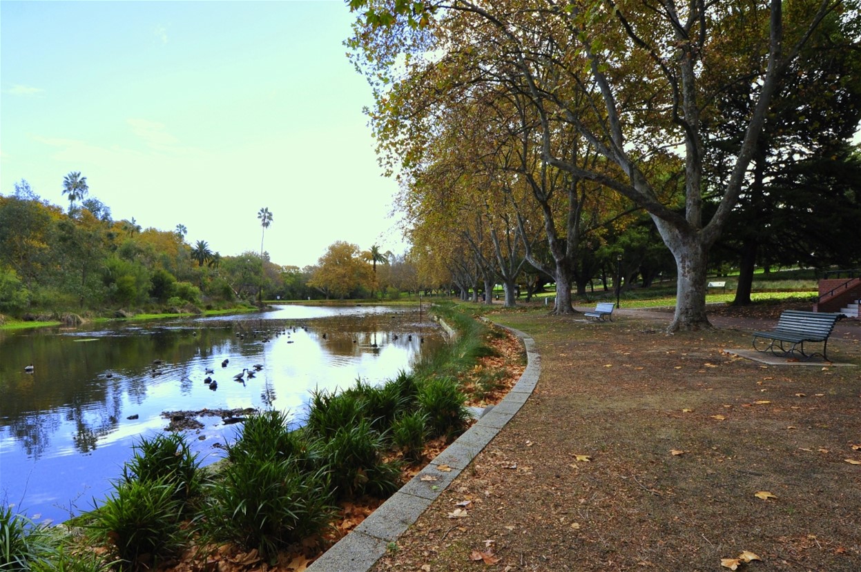 Mt LAWLEY   	2 18