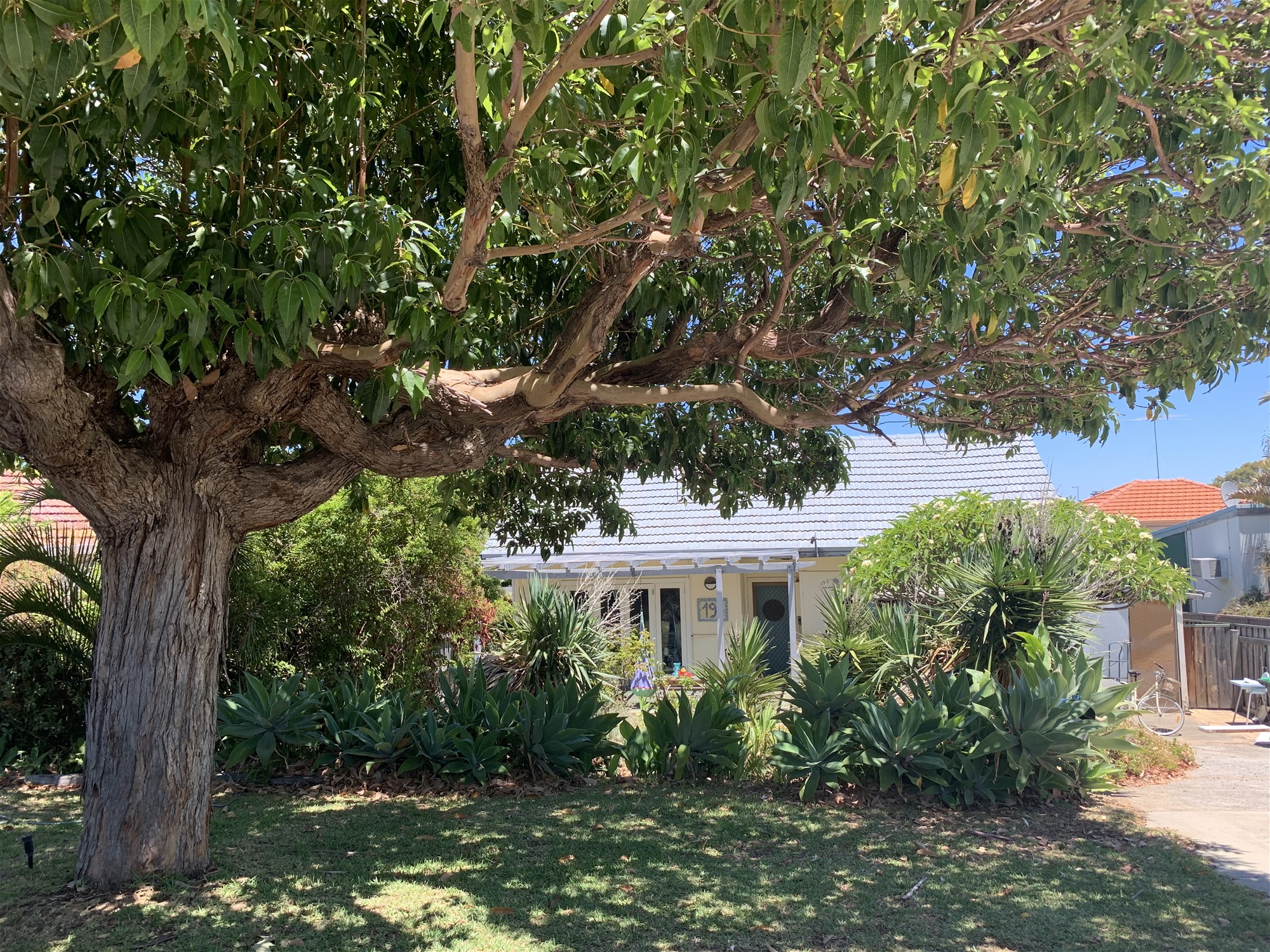 Classic coastal home with huge grassed backyard for pets and kids