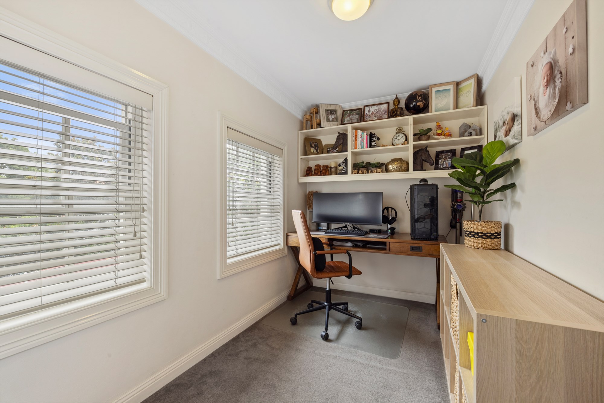 Modern 2br + Study: Pet 6