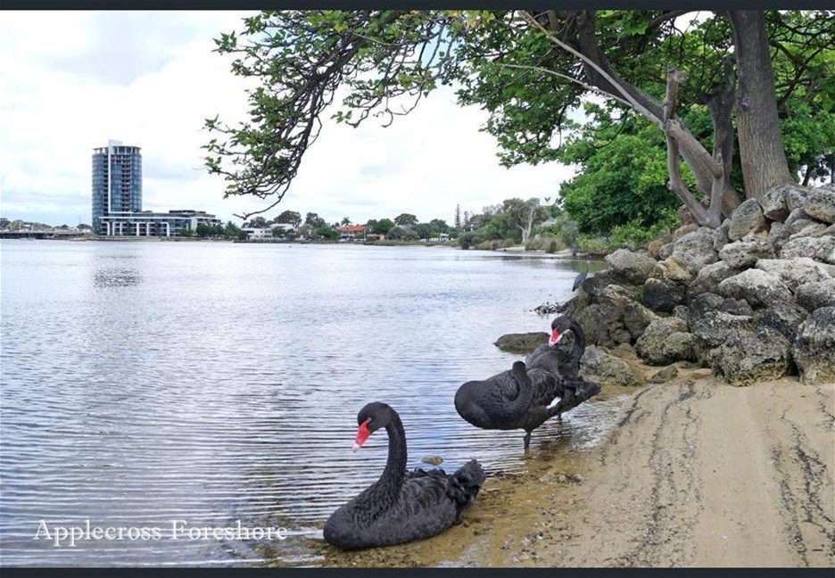 Raffles Waterfront Apartments 17