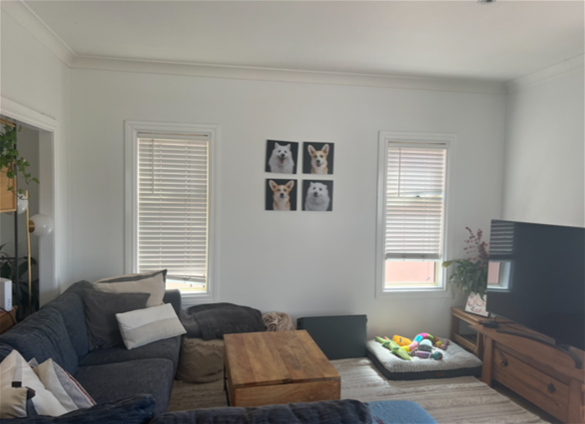 Entire Top floor in Freestanding 4