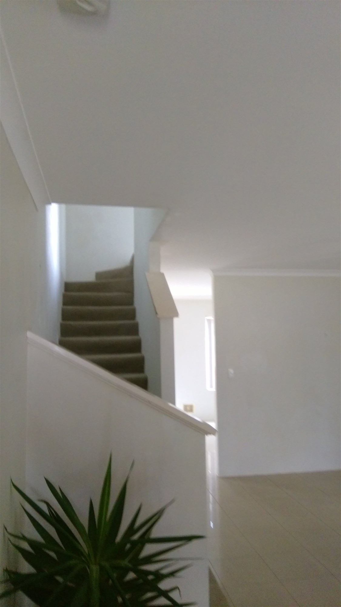 Fremantle 4 bedroom 2 story B/T house – $1,050 PW
