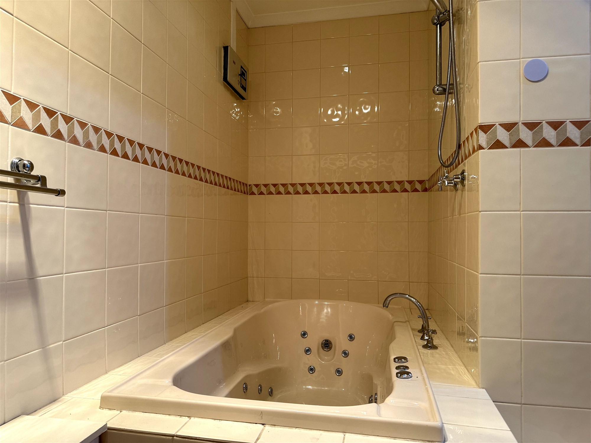 Large Family home 10