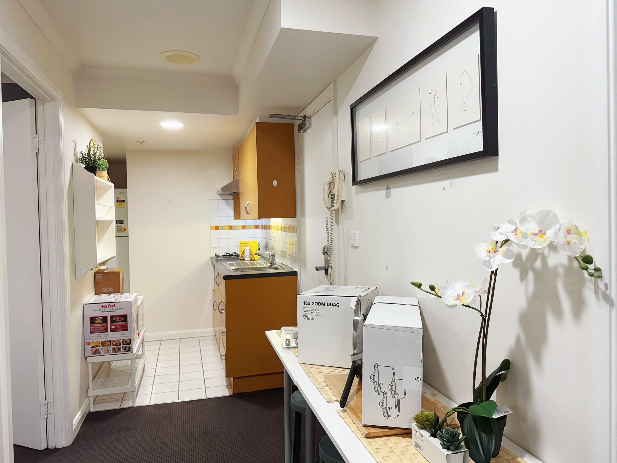 Fantastic Fully Furnished 3 Bedroom 4