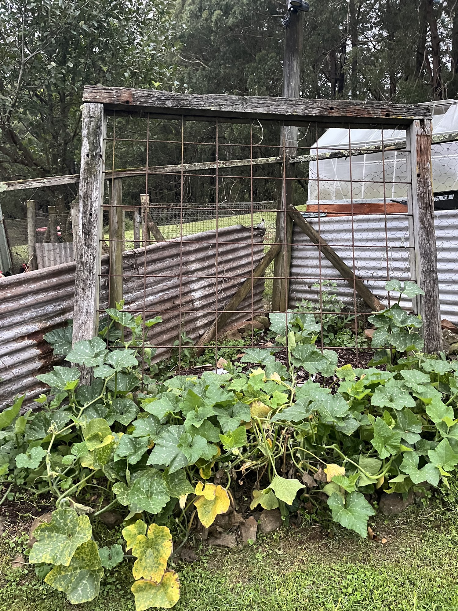 Hobby farm or rural escape 12