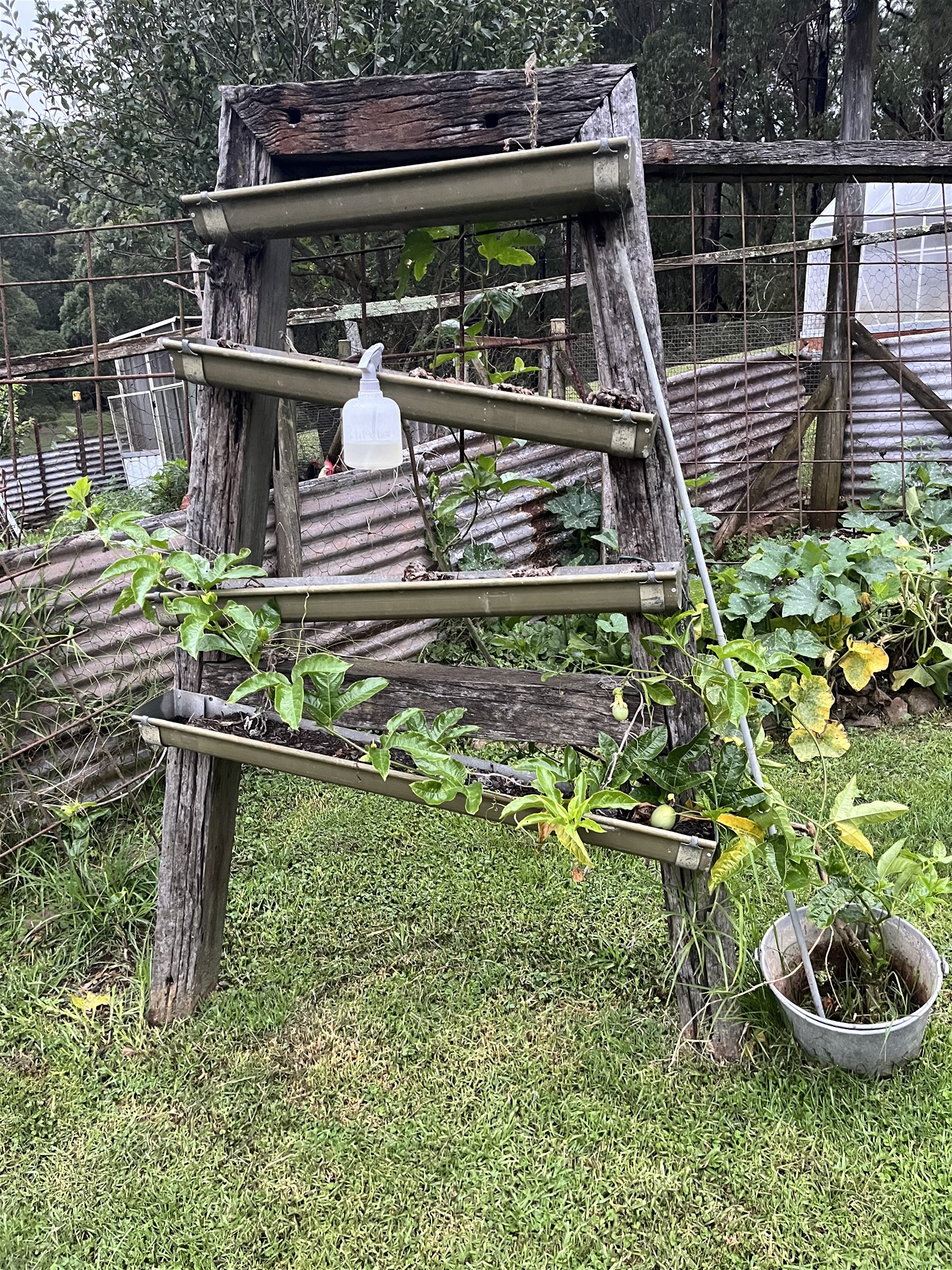 Hobby farm or rural escape 11