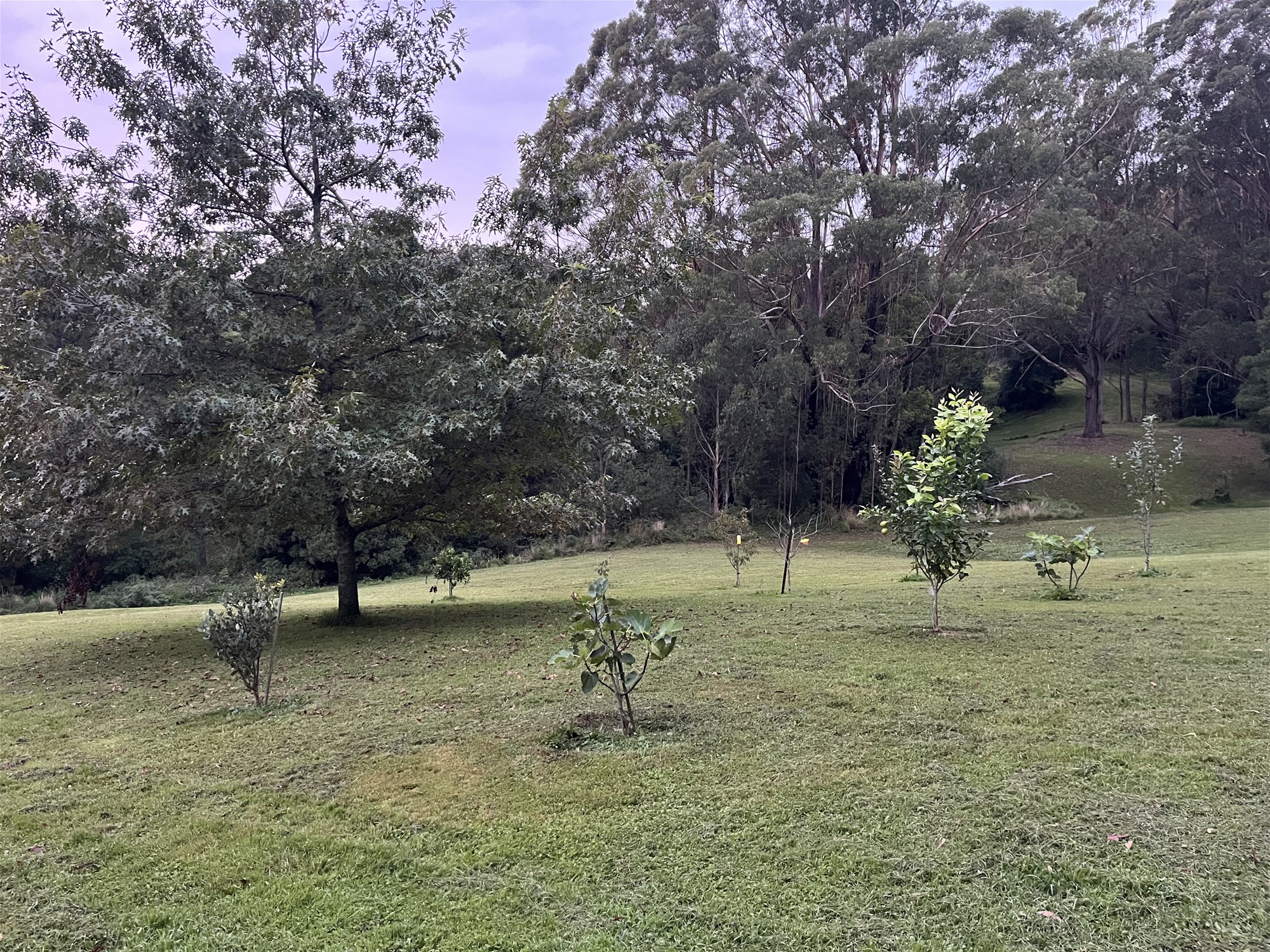 Hobby farm or rural escape 13