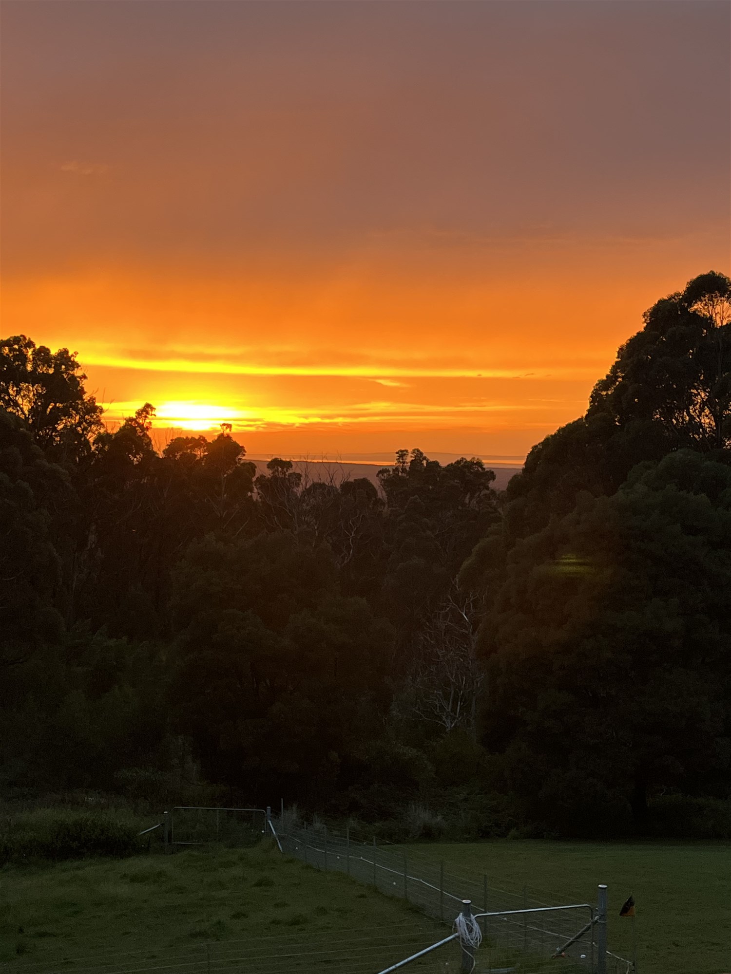 Hobby farm or rural escape 17