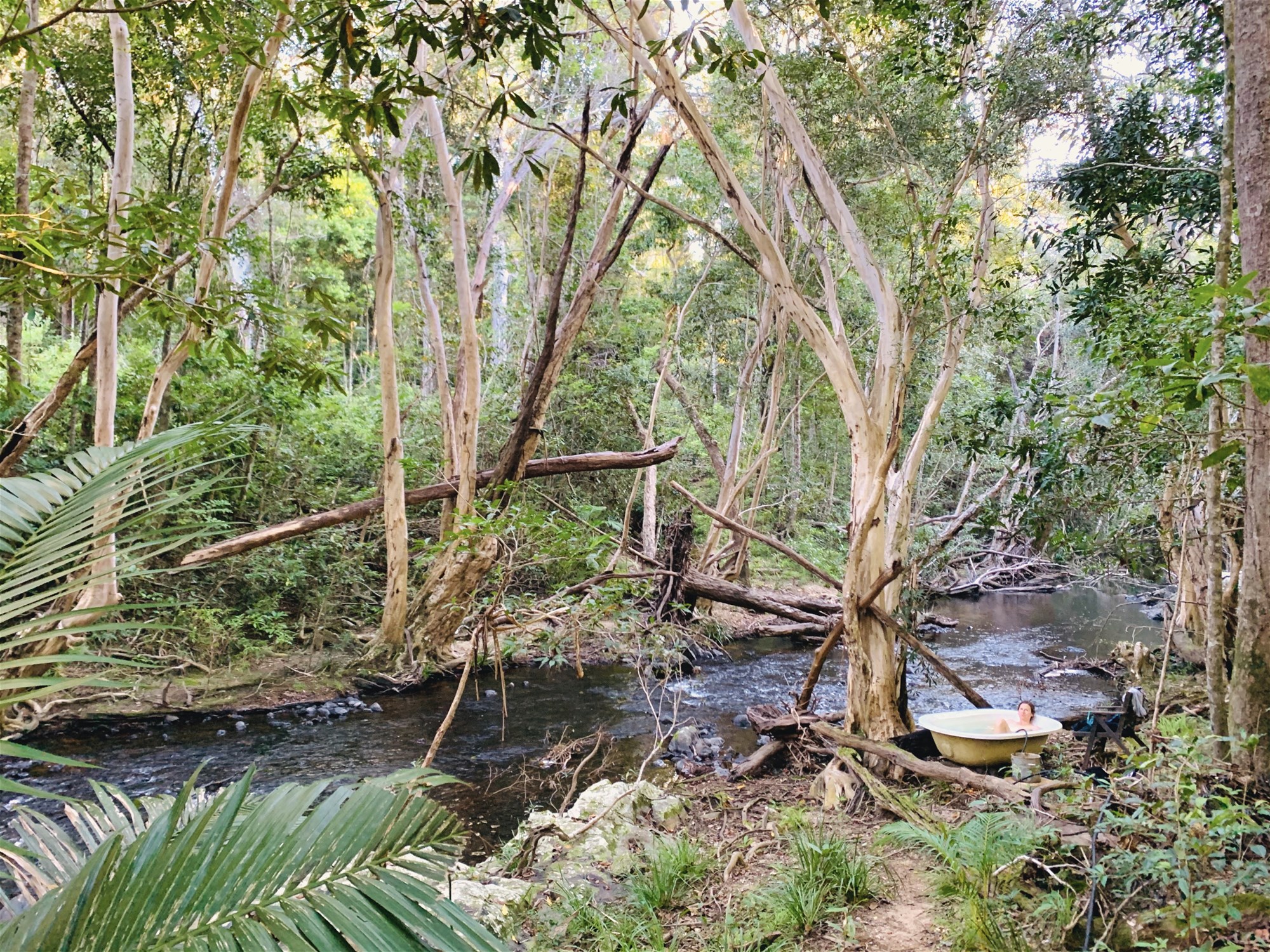 Studio Apartment for rent in 17