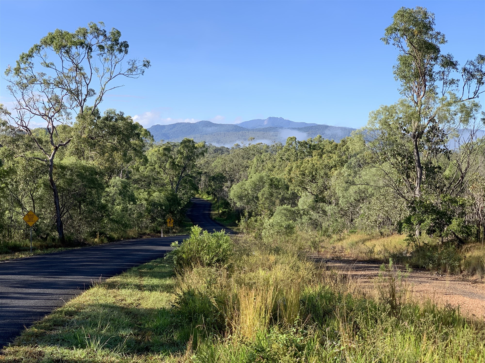 Studio Apartment for rent in 15