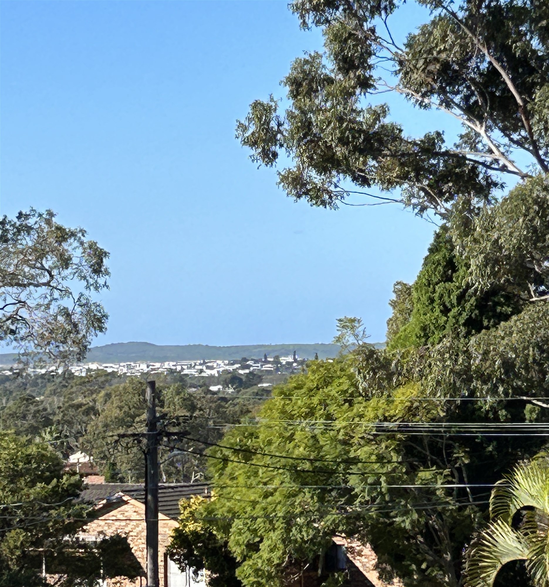 “Immaculate Sunny Spacious Beautiful Apartment 10