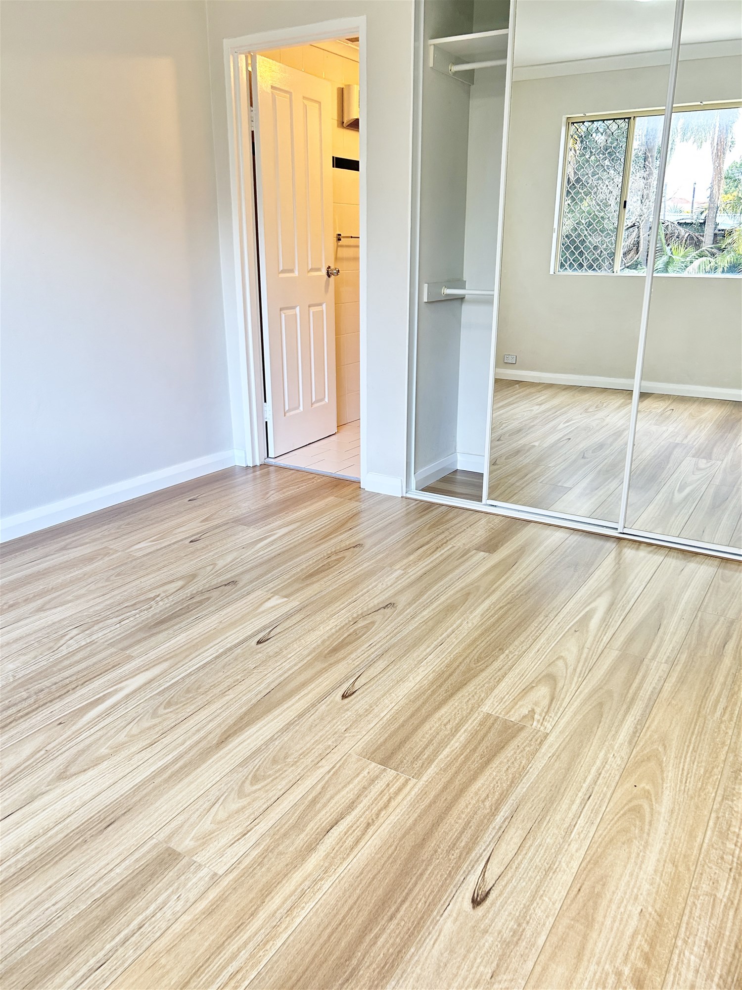 “Immaculate Sunny Spacious Beautiful Apartment 4