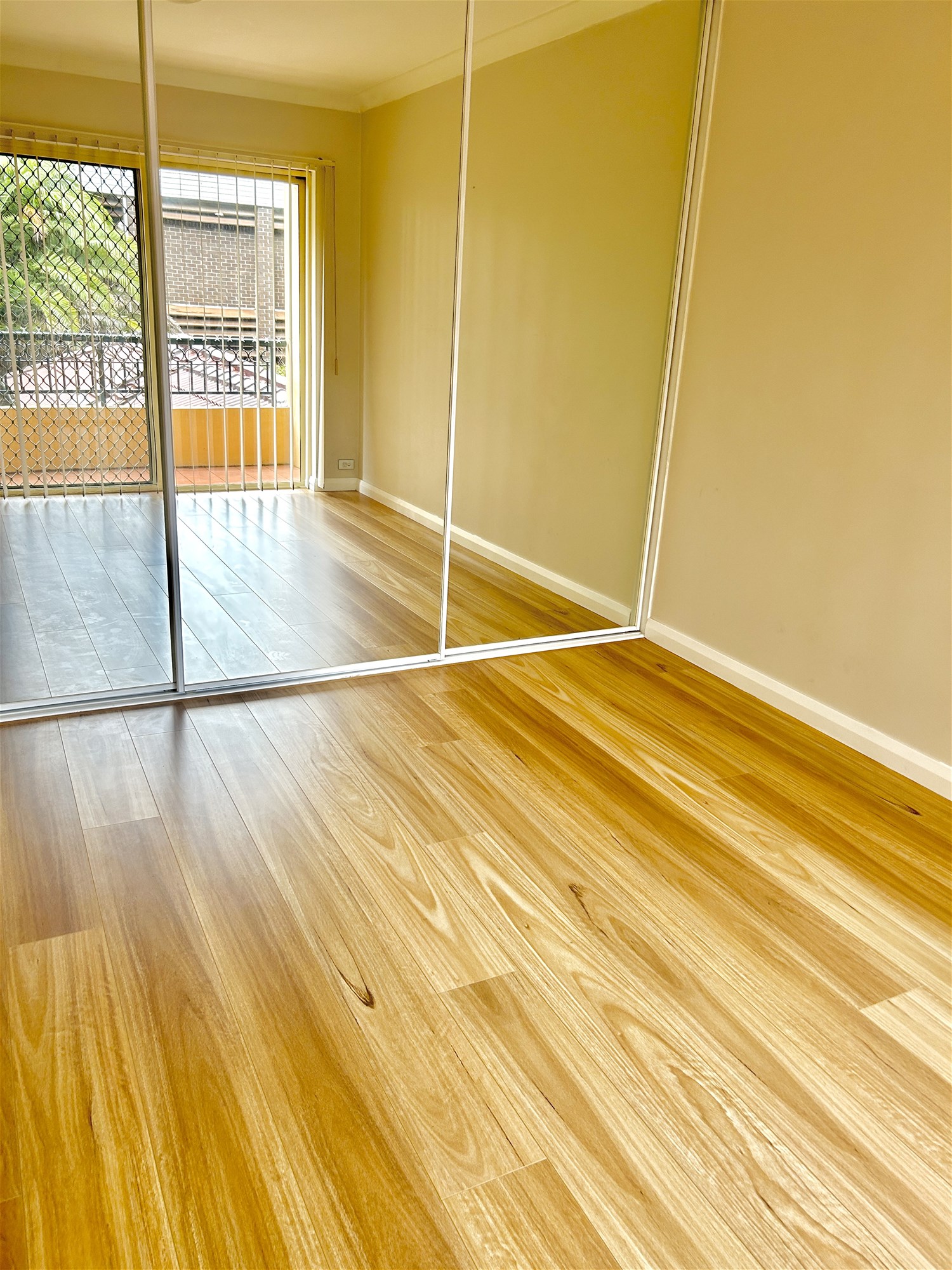 “Immaculate Sunny Spacious Beautiful Apartment 5