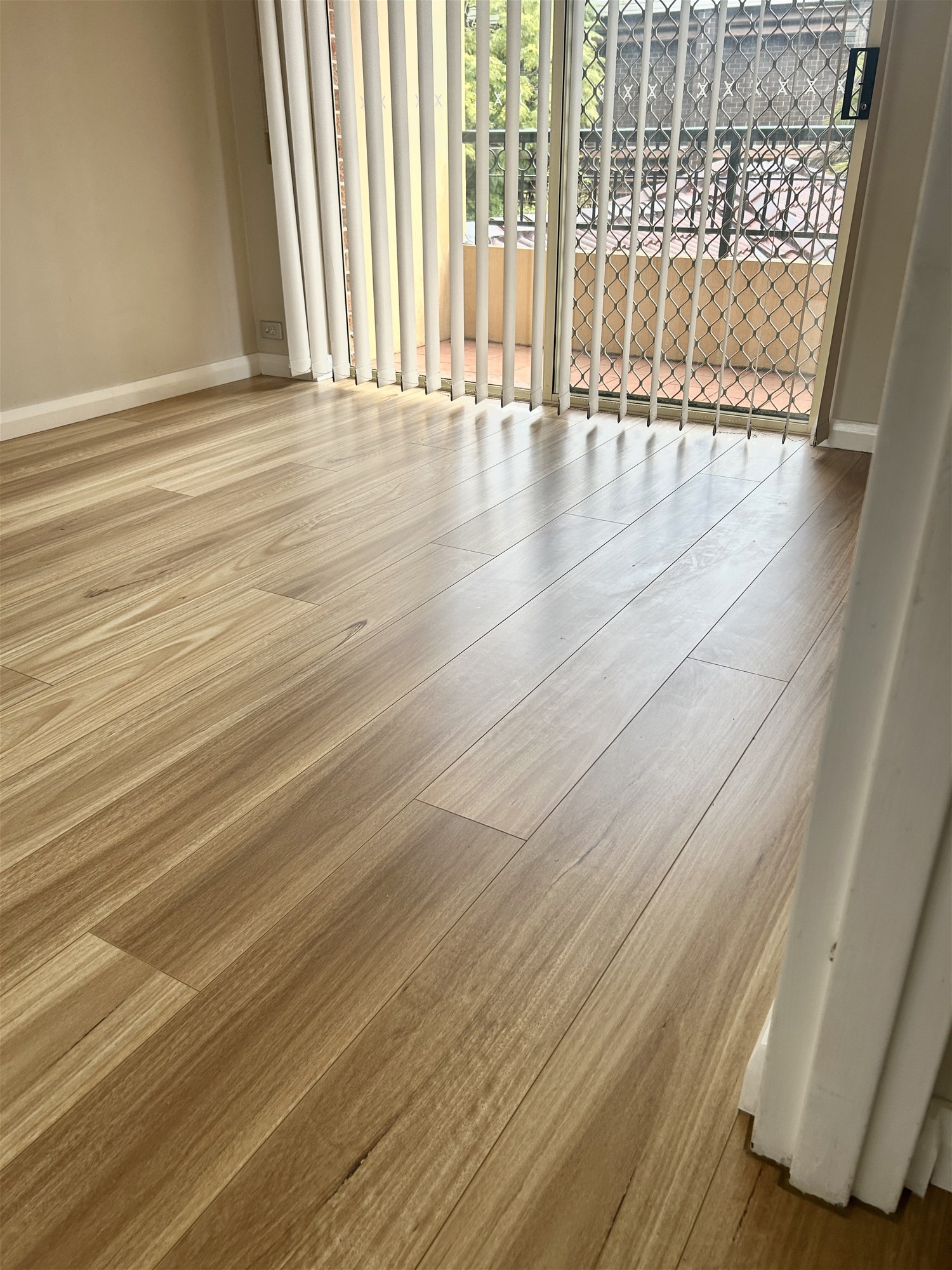 “Immaculate Sunny Spacious Beautiful Apartment 6