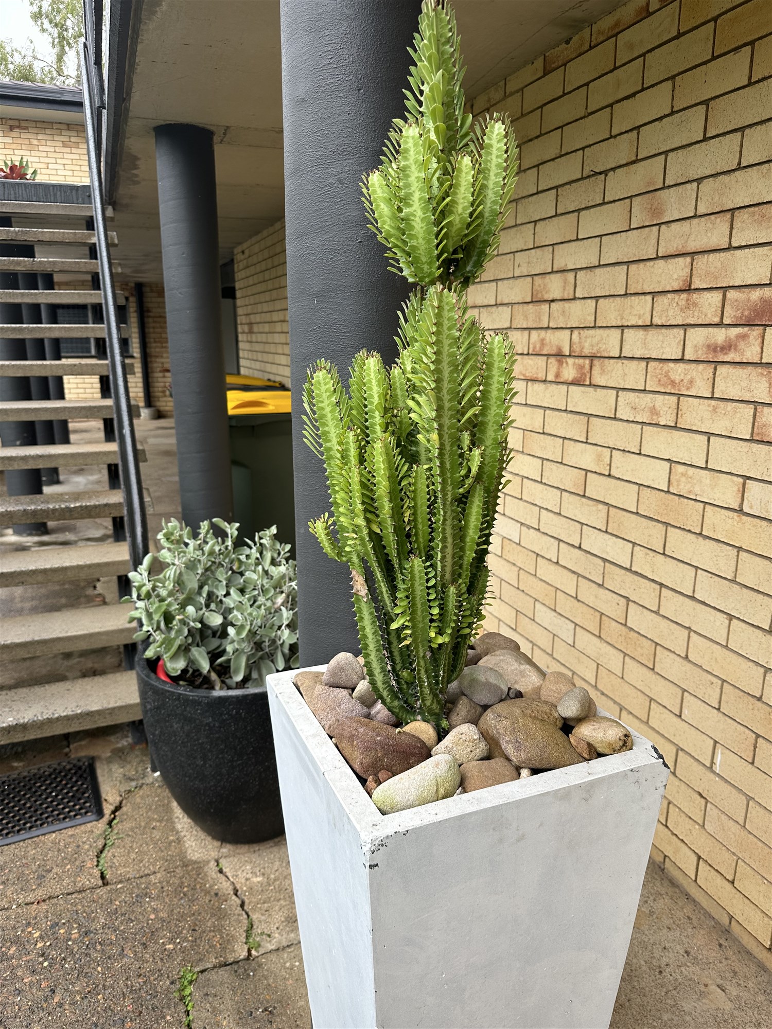 “Stunning Classic 70’s Balmoral Apartment 19