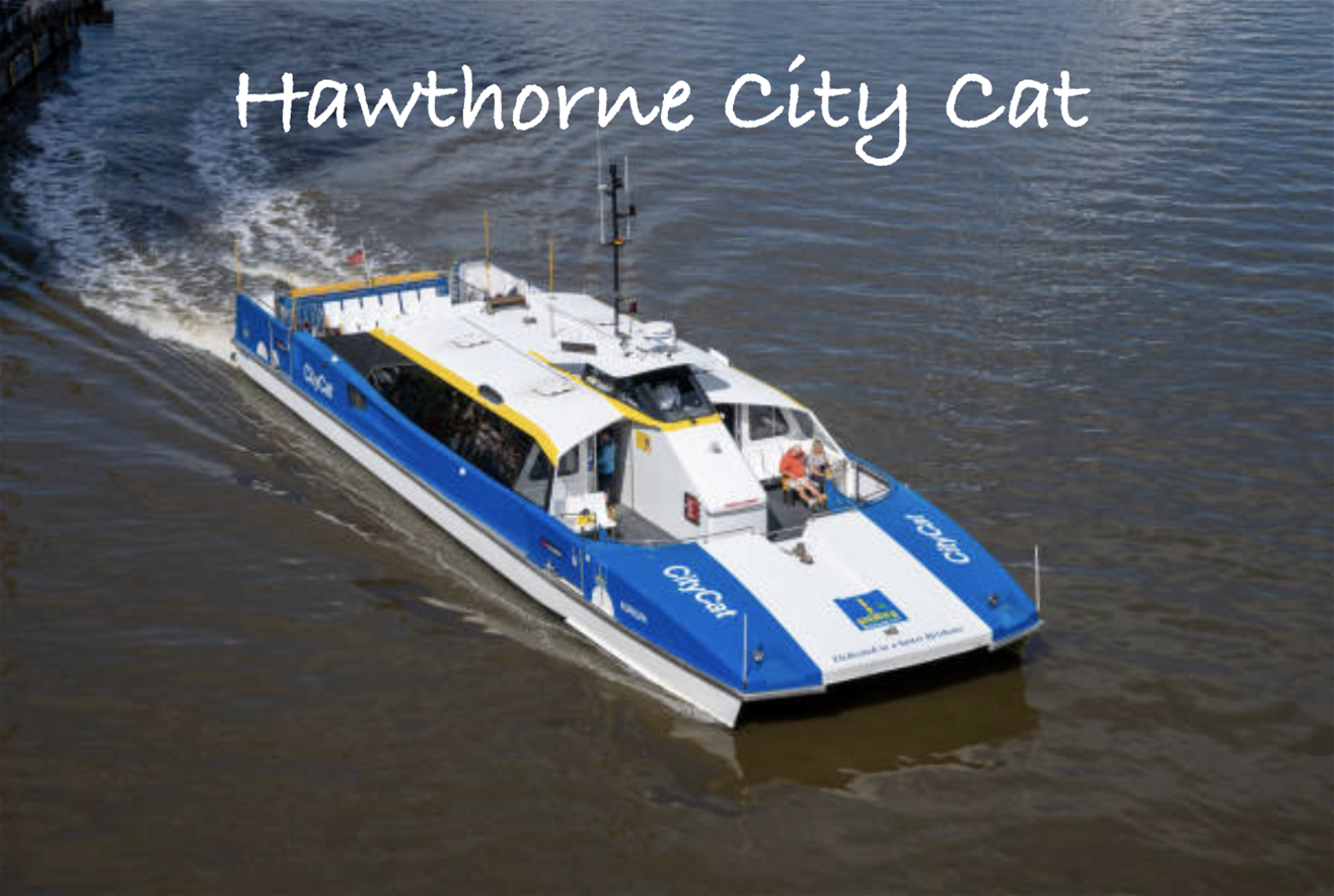 “Stunning Classic 70’s Balmoral Apartment 21