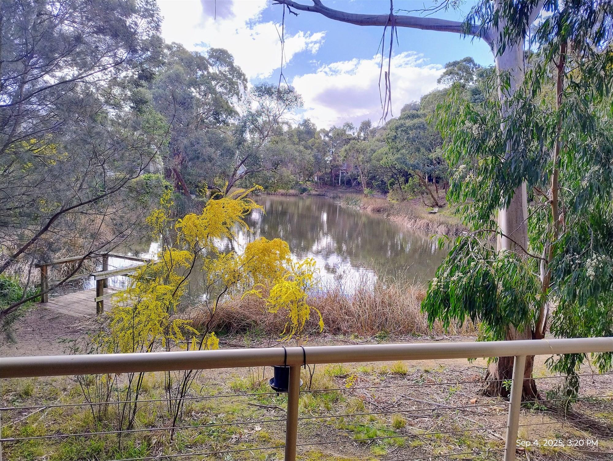 High Quality 3 Bedrooms Single 6