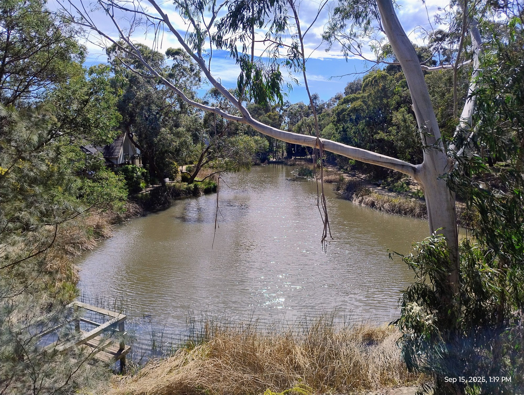 High Quality 3 Bedrooms Single 5