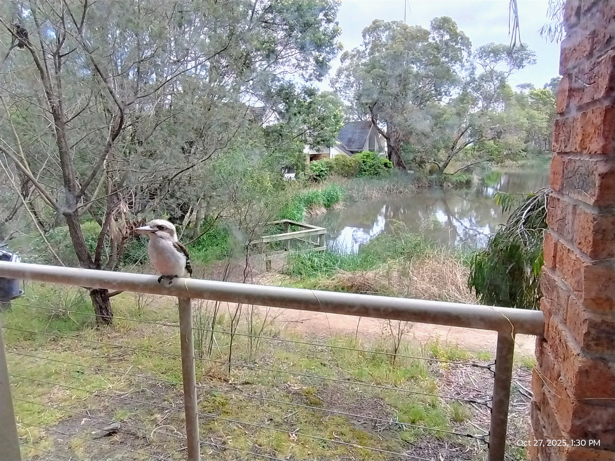 High Quality 3 Bedrooms Single 7