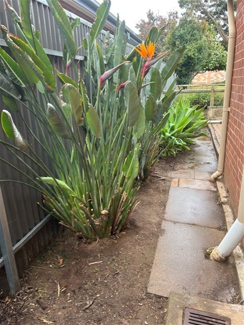 CLARENCE PARK SANDSTONE FRONTED 3 17