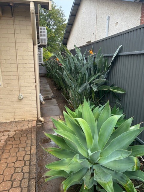 CLARENCE PARK SANDSTONE FRONTED 3 18