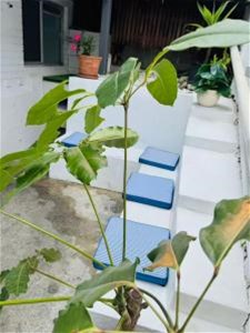 North Burleigh – Whole 2 Bedroom, 1 Bathroom Unit | Beach Side of GC Highway | Stroll to the Beach, photo 6
